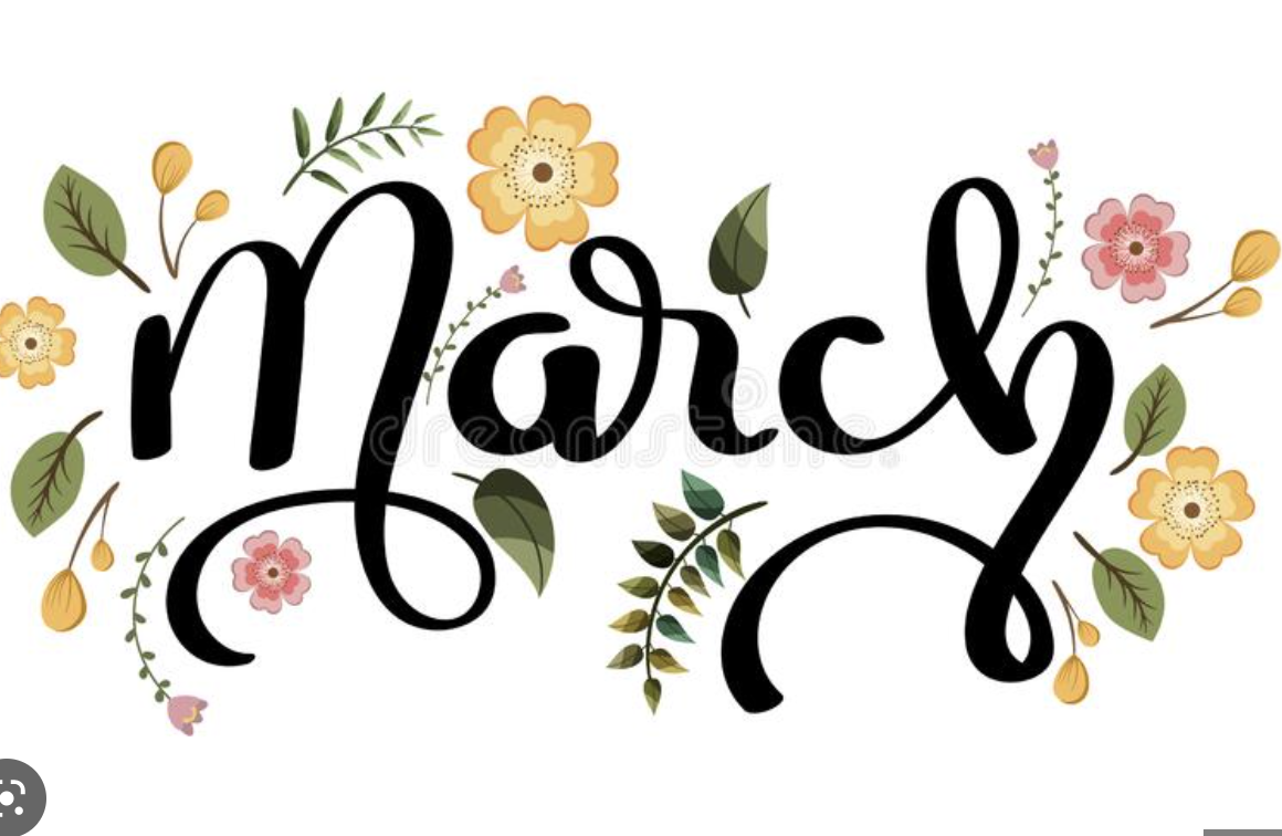  March Newsletter